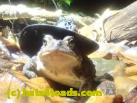 /home//u458753944/public_html/sourcegallery////////McKaig Nature Center/2024-09-27/P9271574.JPG